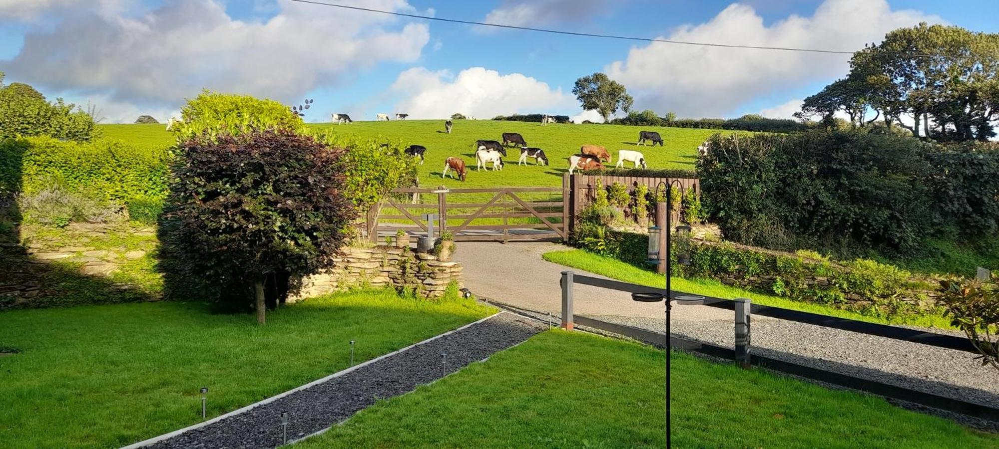 Wisteria Barn, Trewethen, St Teath, Nr Port Isaac Villa Saint Teath Dış mekan fotoğraf