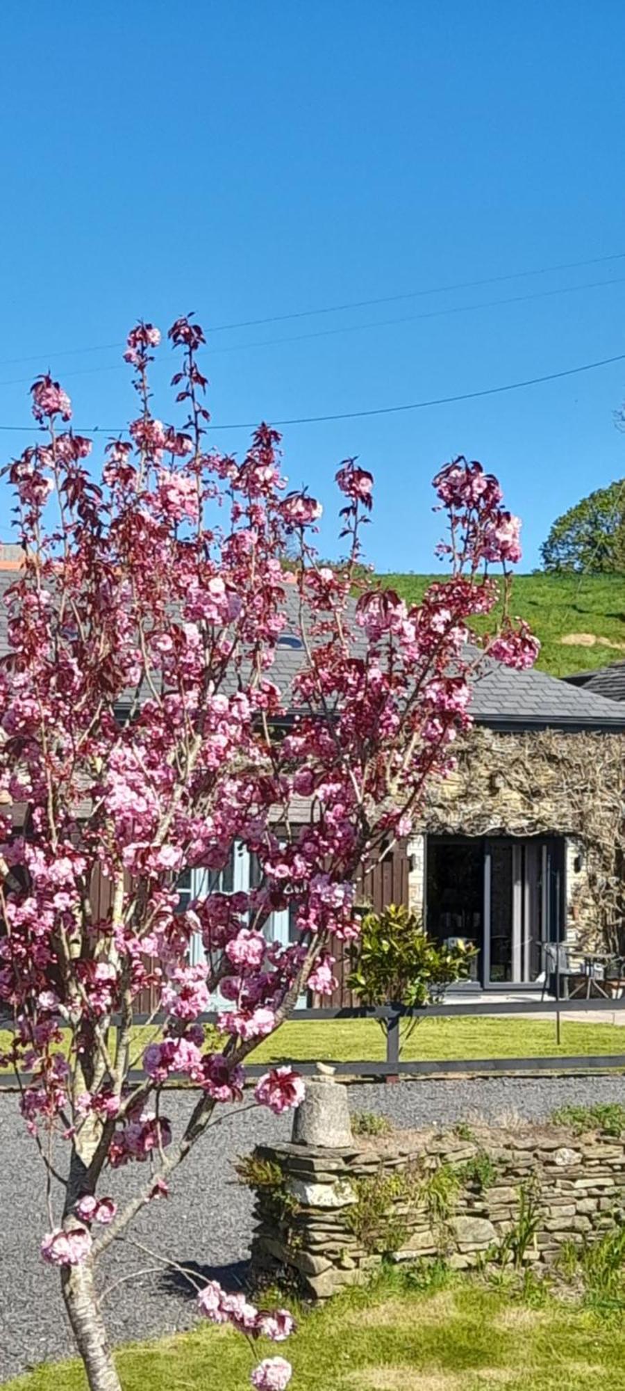 Wisteria Barn, Trewethen, St Teath, Nr Port Isaac Villa Saint Teath Dış mekan fotoğraf